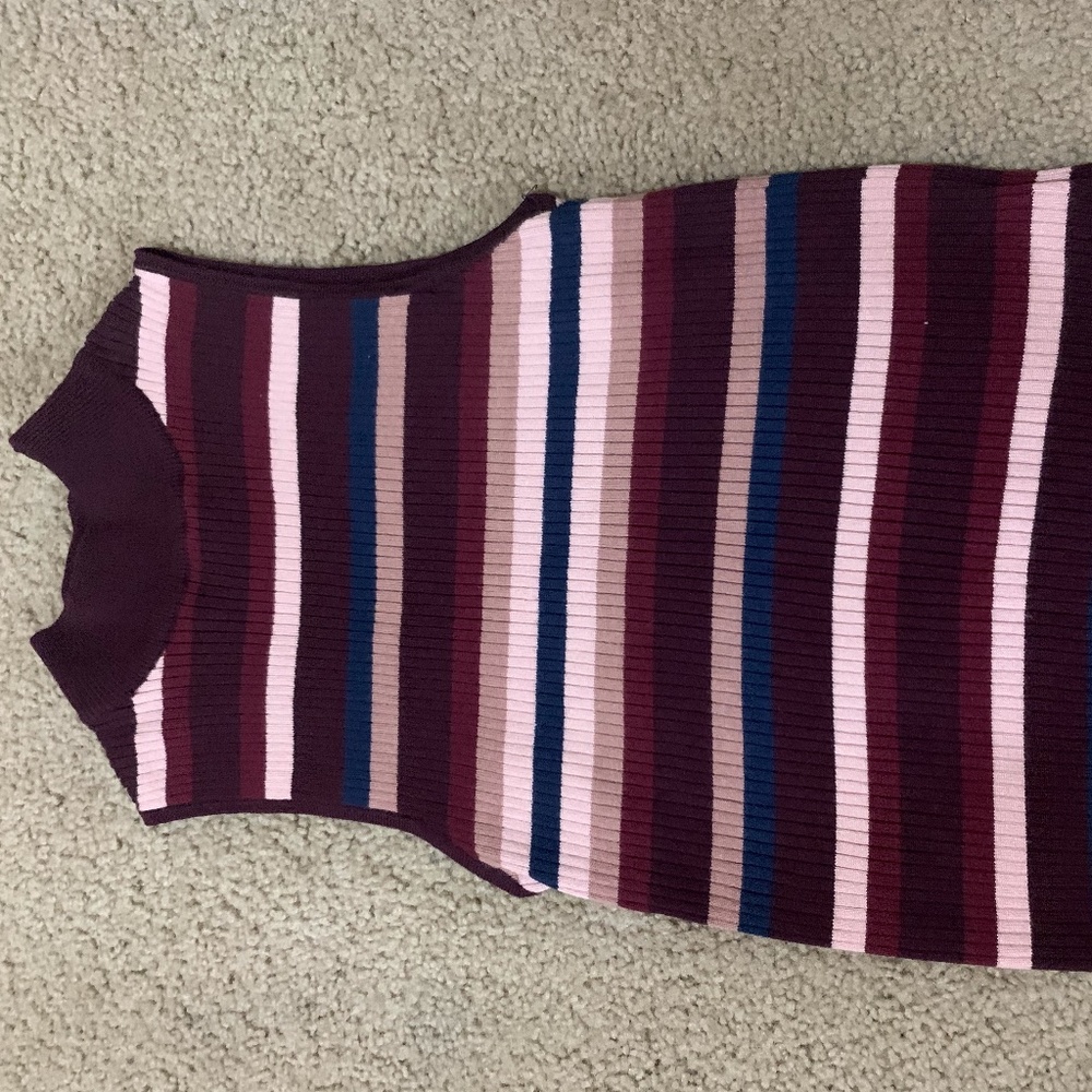 Stripped Tank Sweater